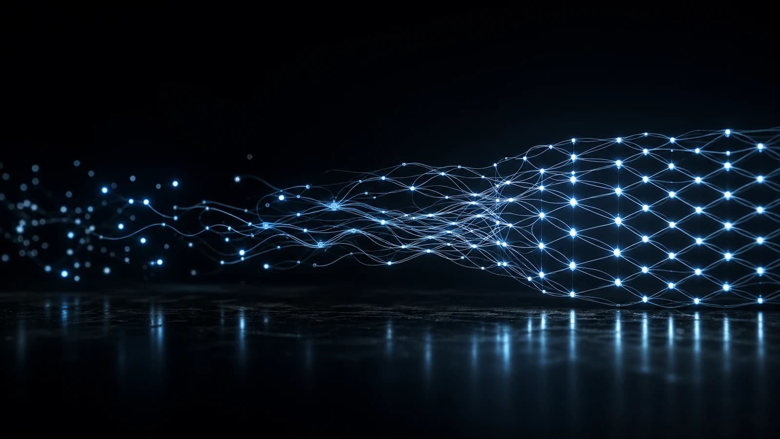 Lose Lichtpunkte wachsen zu einem geordneten Netz aus verbundenen Datenpfaden
